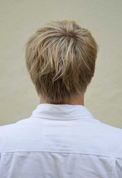 Blonde Men Haircut Back