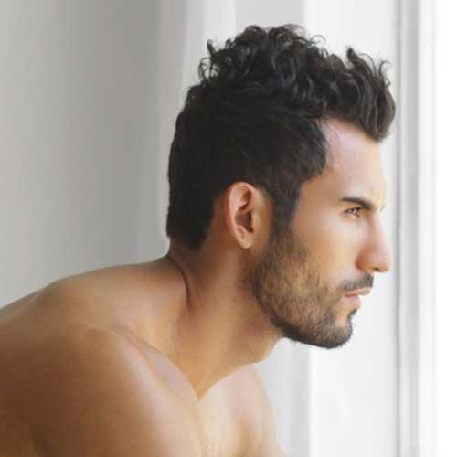Mens Hairstyles for Thick Wavy Short Haircuts