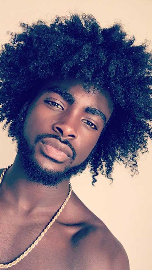 Afro Hair Styles Men