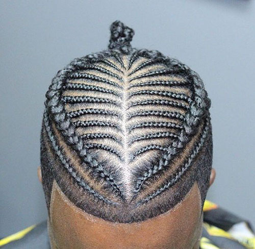 Mens Two Braids Hairstyle