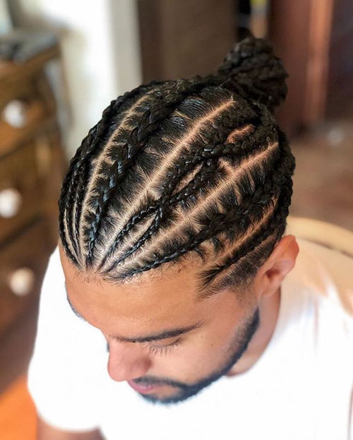 Mens Two Braids Hairstyle
